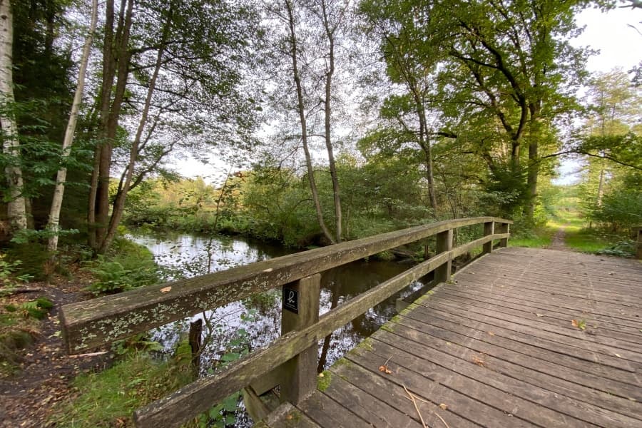 Malerisch gelegene Wietzebrücke in Müden