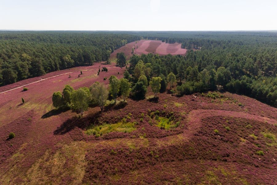 Luftaufnahme Misselhorner Heide Hermannsburg Rundweg Wanderung Heideschleife