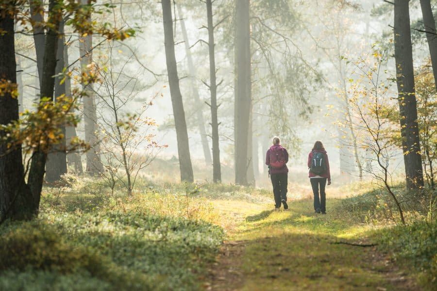 Hermannsburg Tiefental im Herbst Wanderung Natur