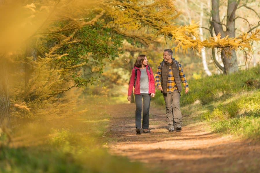 Herbstliche Stimmung im Tiefental in Hermannsburg Wanderung Wald Indian Summer