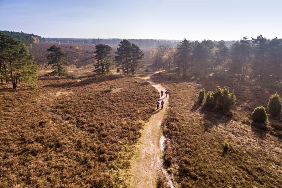 Luftaufnahme Tiefental Hermannsburg Wanderung Heideschleife
