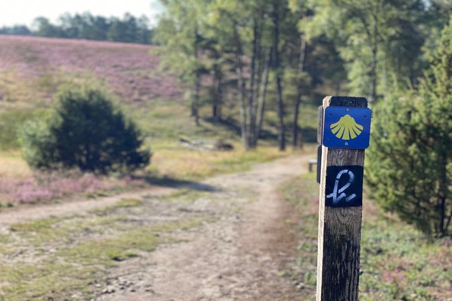 Heideschleife Misselhorner Heide Hermannsburg Rundwanderweg