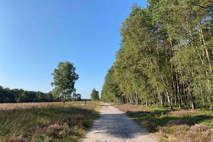 Heideschleife Misselhorner Heide Rundwanderweg