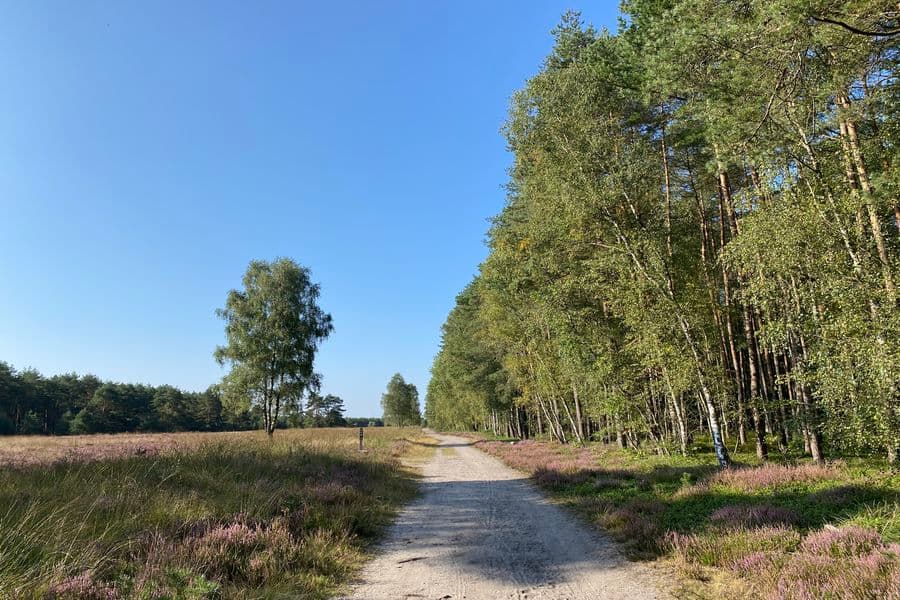 Heideschleife Misselhorner Heide