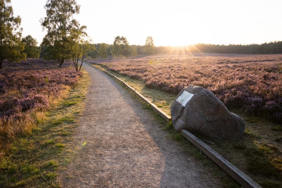 Barrierefreier Wanderweg