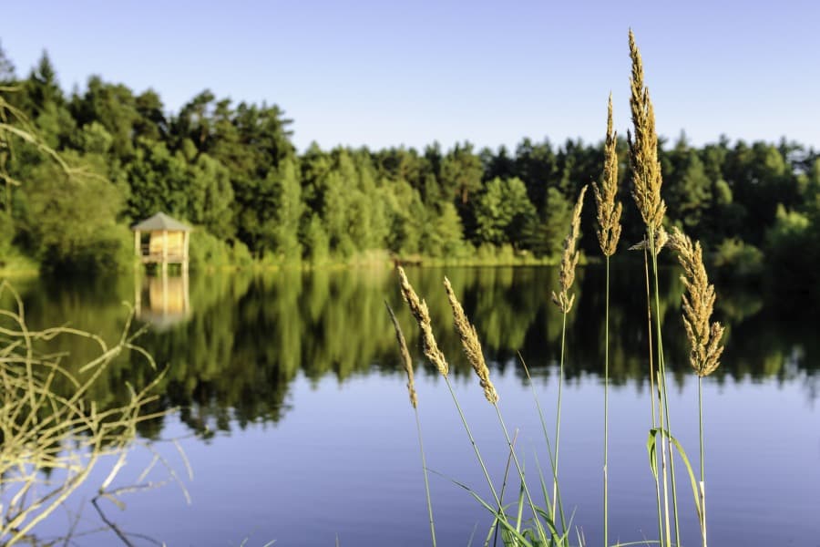 Heideschleife Angelbecksteich Hermannsburg im Sommer barrierefrei