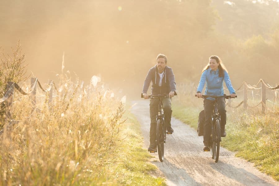 Radweg an der Aller