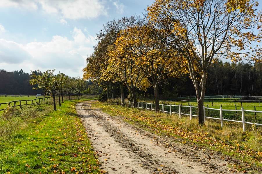 Radweg im Herbst bei Weesen