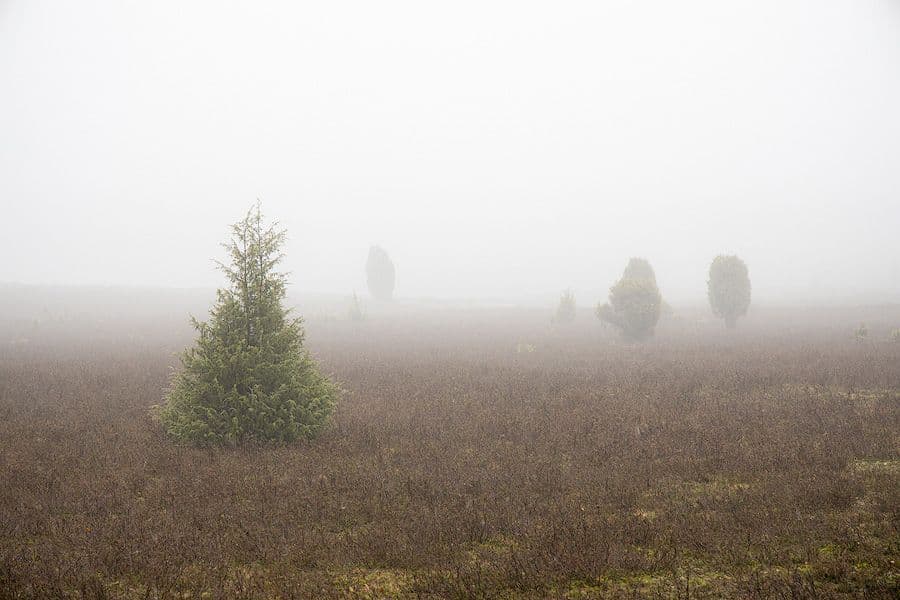 Tiefental bei Hermannsburg