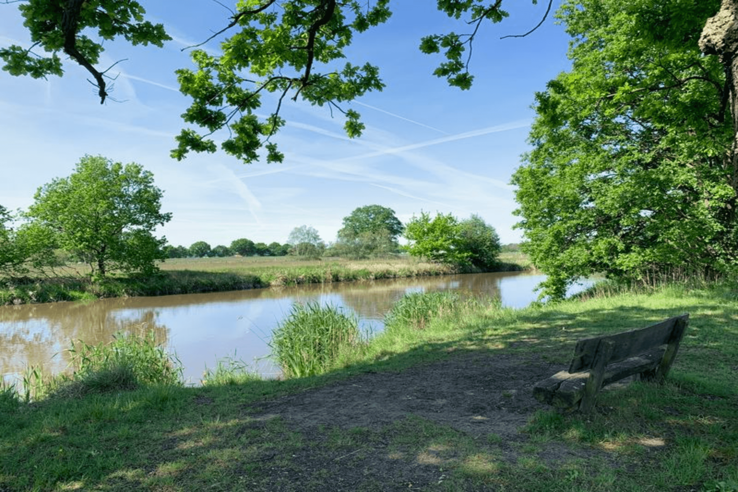 Obere Aller Niederung bei Celle