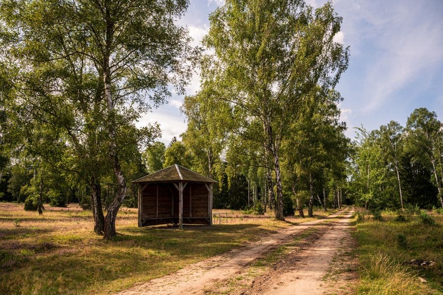 Schutzhütte am Weg in der Oberoher Heide