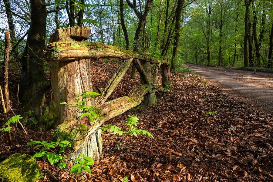 Heidschnuckenweg Etappe 13 - auch im Frühling herrlich