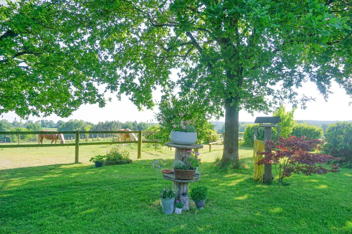 Garten in der Ferienwohnung Nina in Egestorf