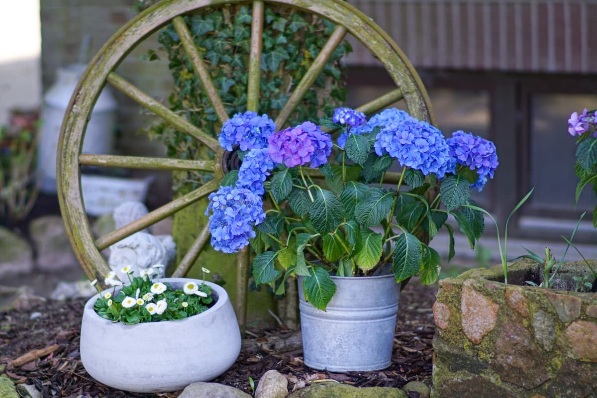 Gartendeko der Ferienwohnung Nina in Egestorf