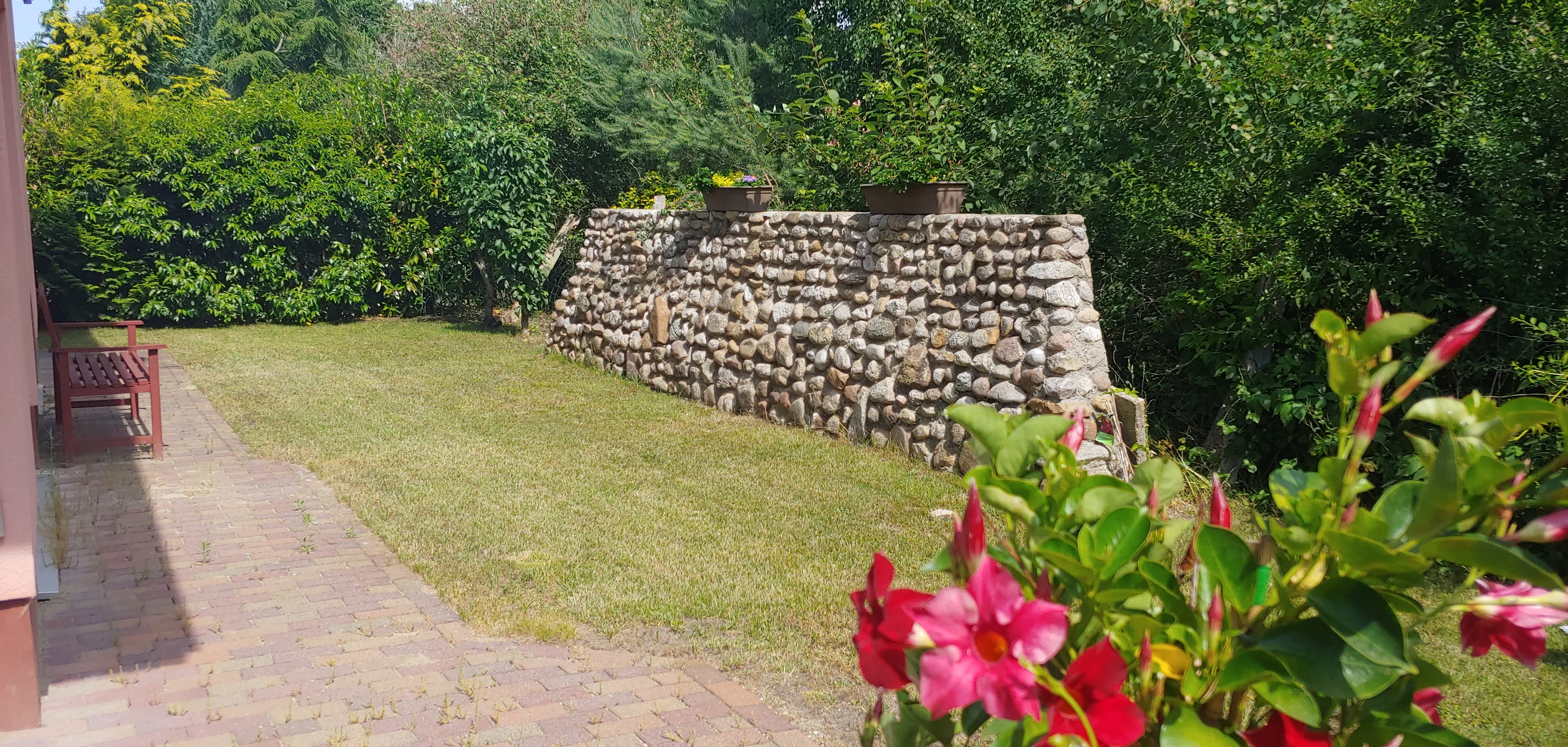 Garten der Ferienwohnung am Graben in Lachendorf