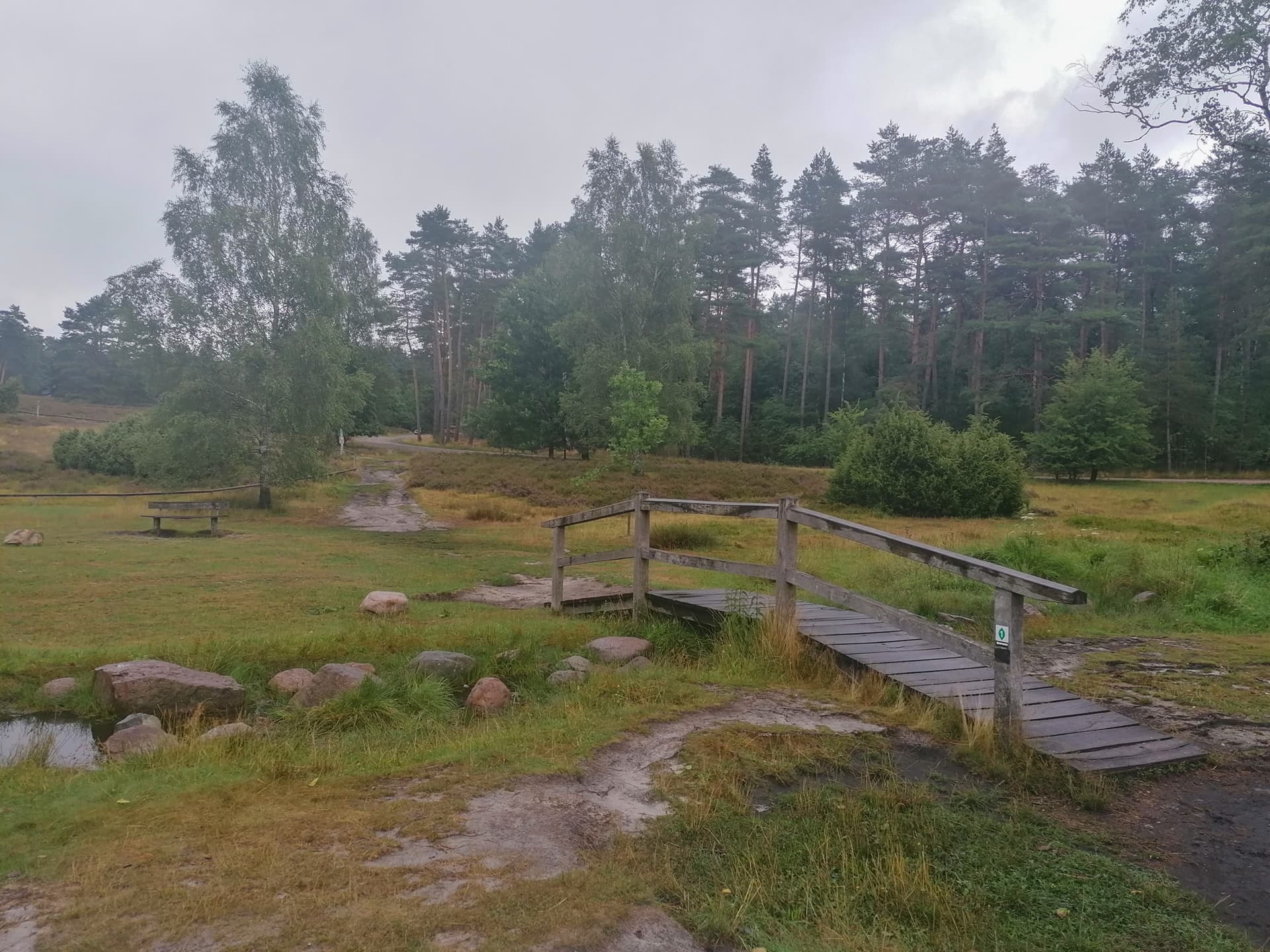 Wanderung auf der Heideschleife Büsenbachtal | Lüneburger Heide Wanderung auf der Heideschleife Büsenbachtal | Lüneburger Heide