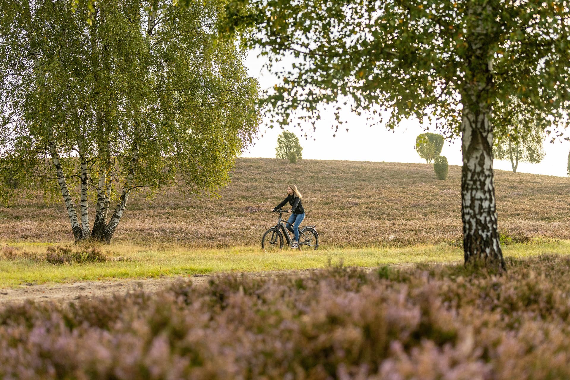 Fahrradverleih in der Lüneburger Heide