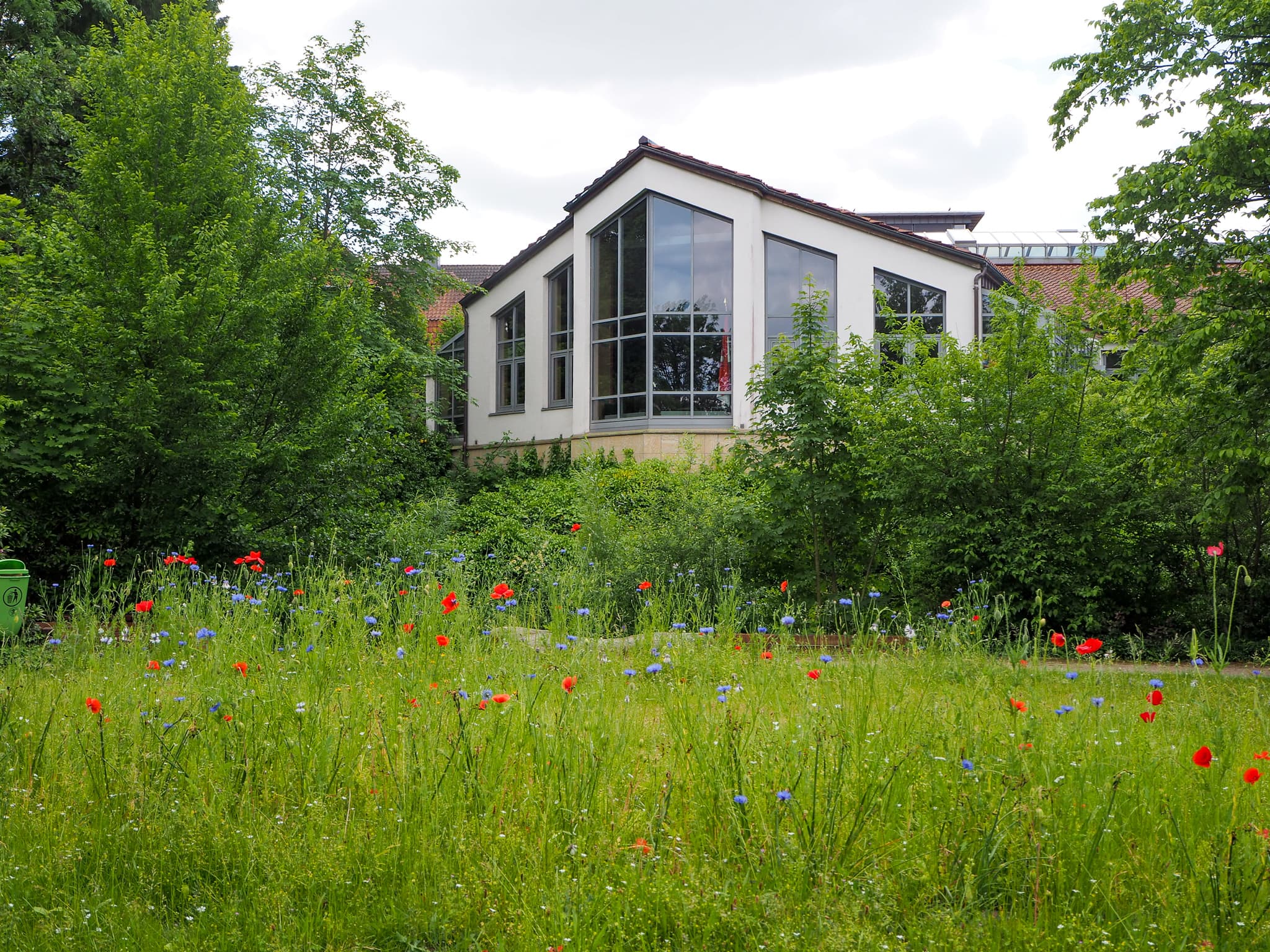 Bad Fallingbostel Lüneburger Heide