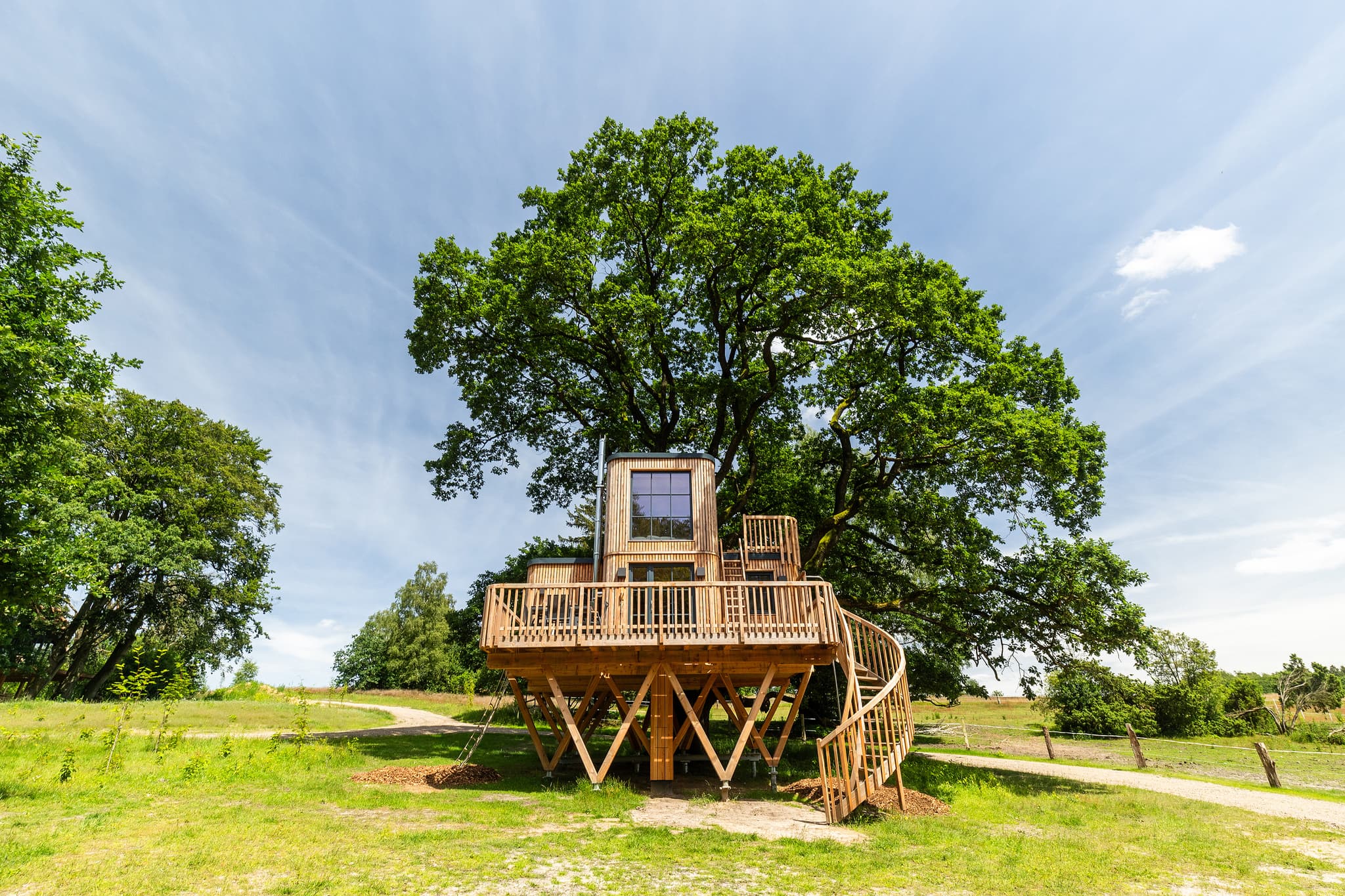 bernachten Im Baumhaus L neburger Heide bernachten-im-baumhaus-l-neburger-heide