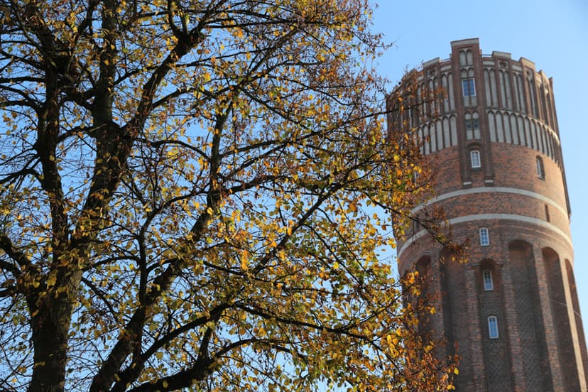 Stadt | Lüneburger Heide