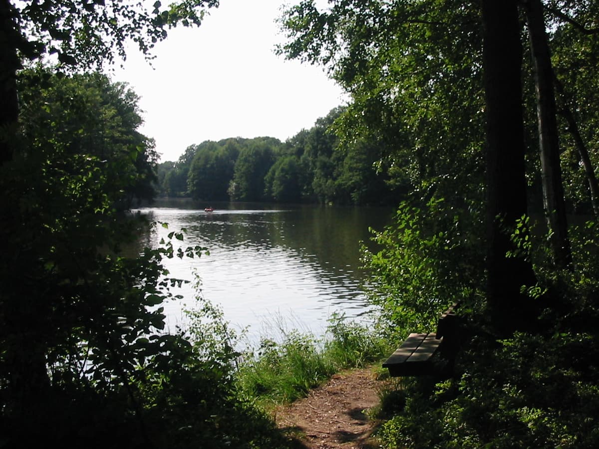 Behringen Lüneburger Heide