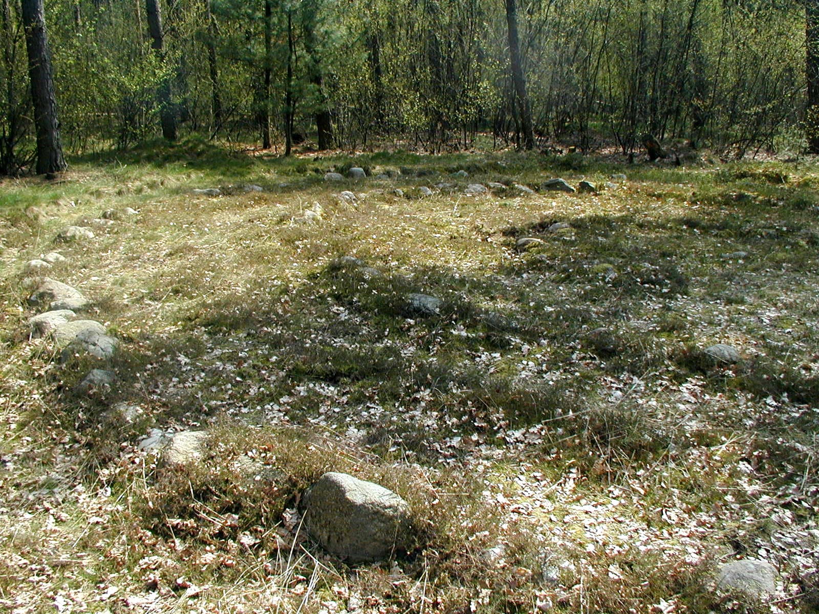 Bispingen Hügelgräber Lüneburger Heide