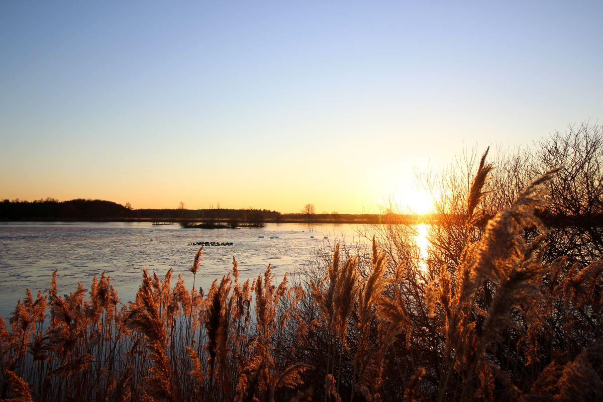 Naturschutzgebiet Meißendorfer Teiche Lüneburger Heide