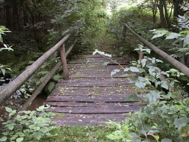 Die Luhe und die Lopau Lüneburger Heide