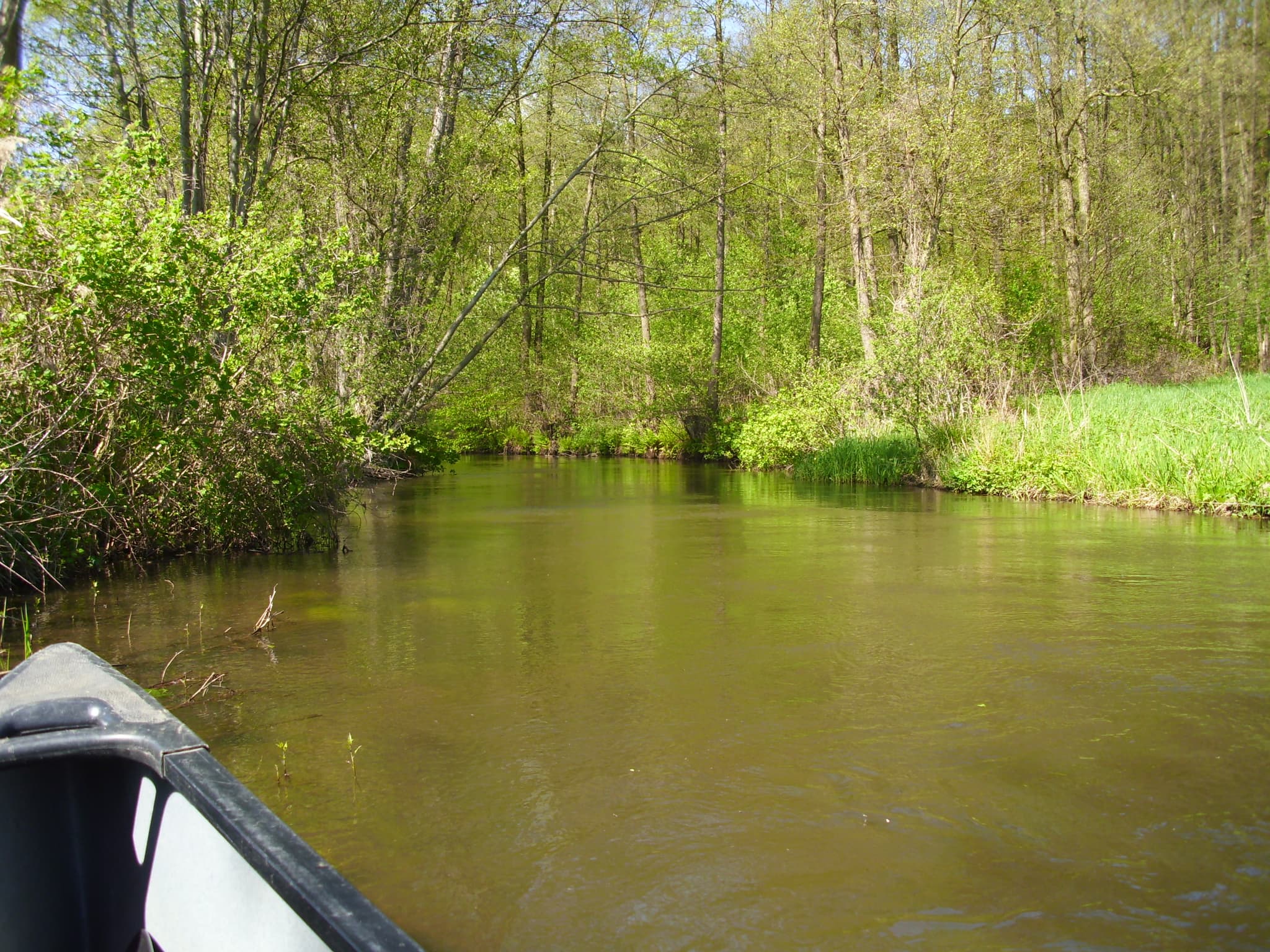 Die Luhe und die Lopau Lüneburger Heide