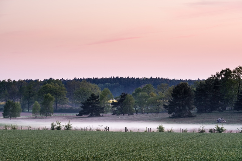 Entdecke die Weite der Heide Lüneburger Heide