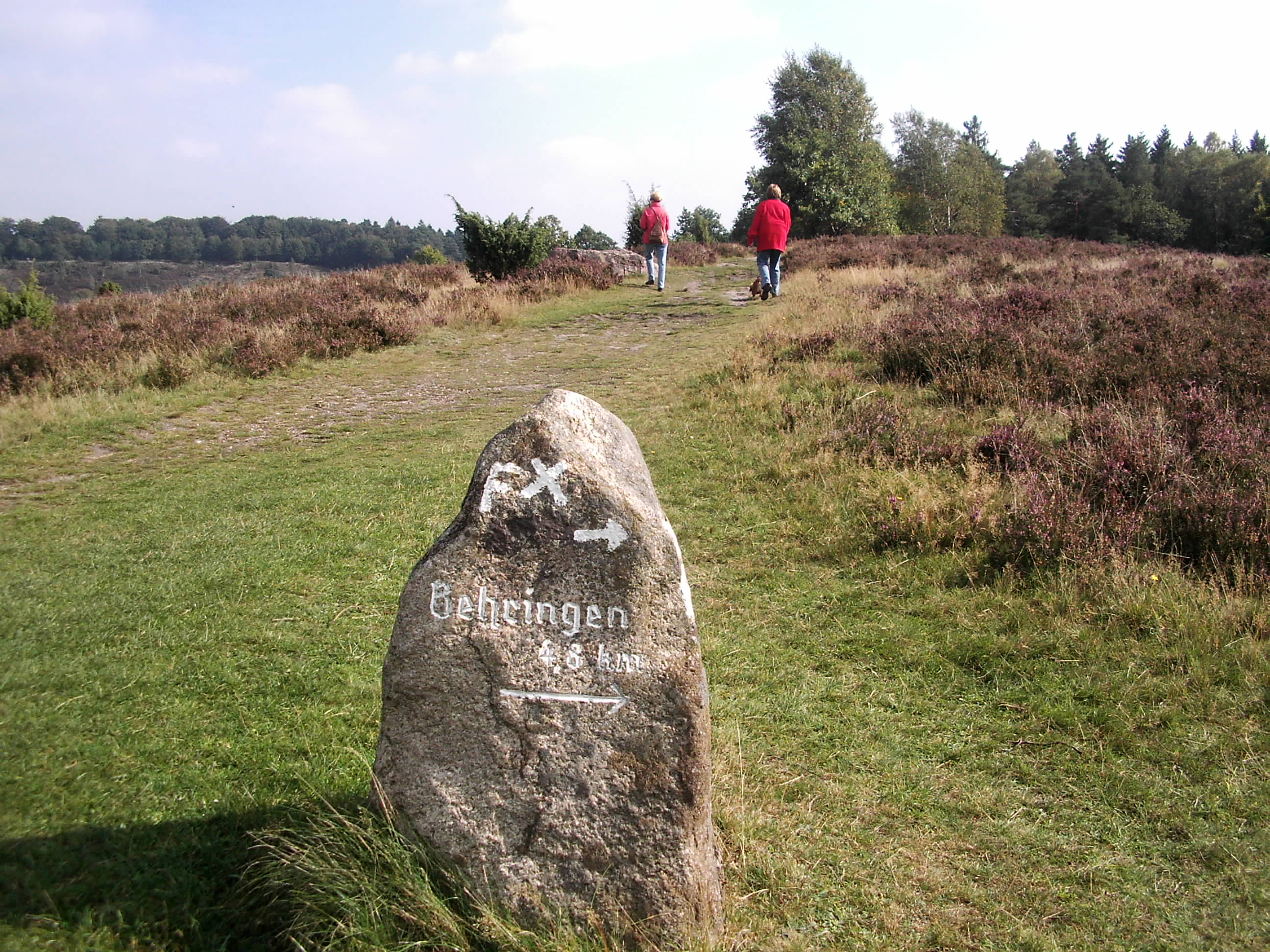 Behringen Lüneburger Heide