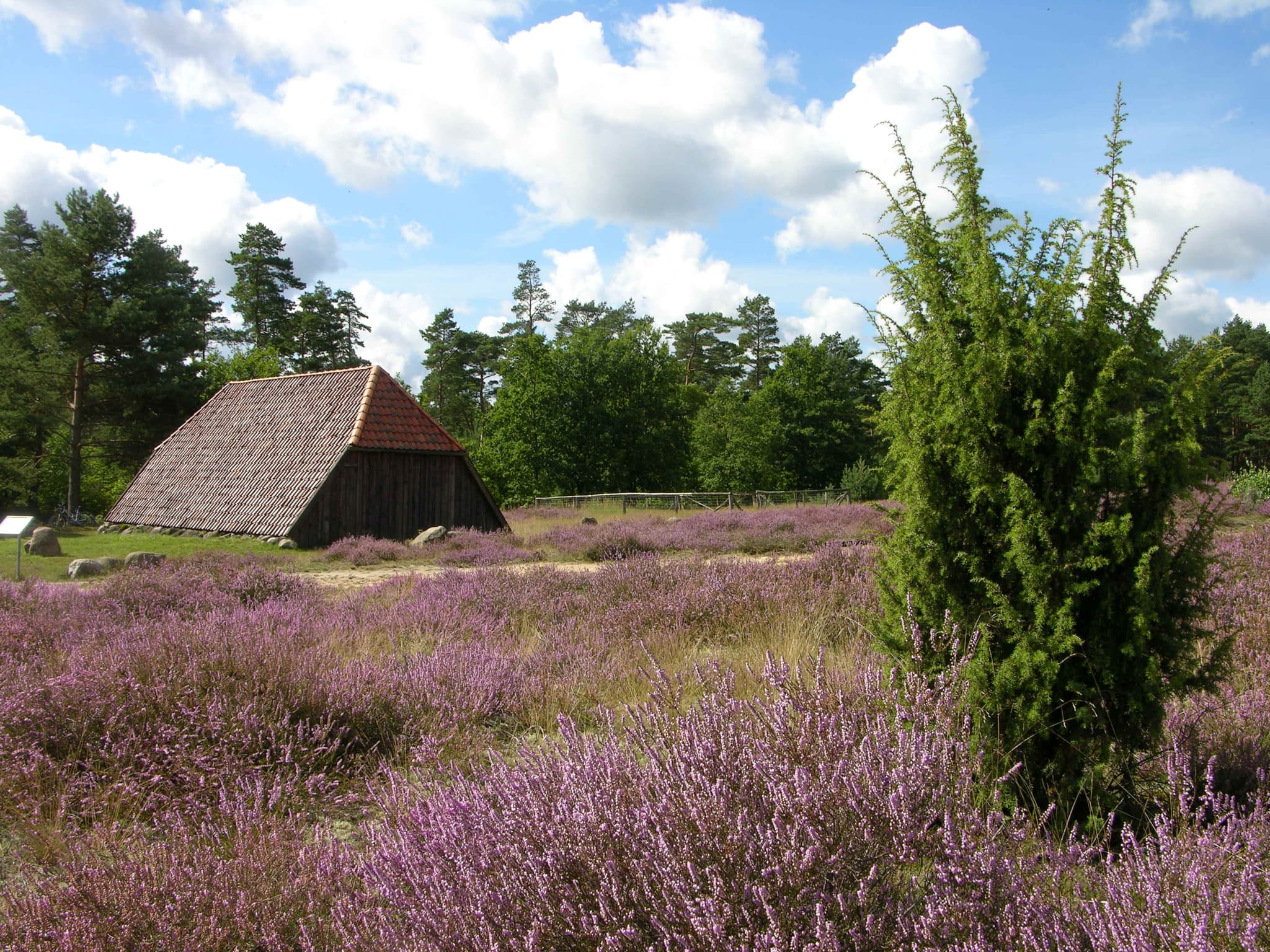 Bad Bodenteich Lüneburger Heide