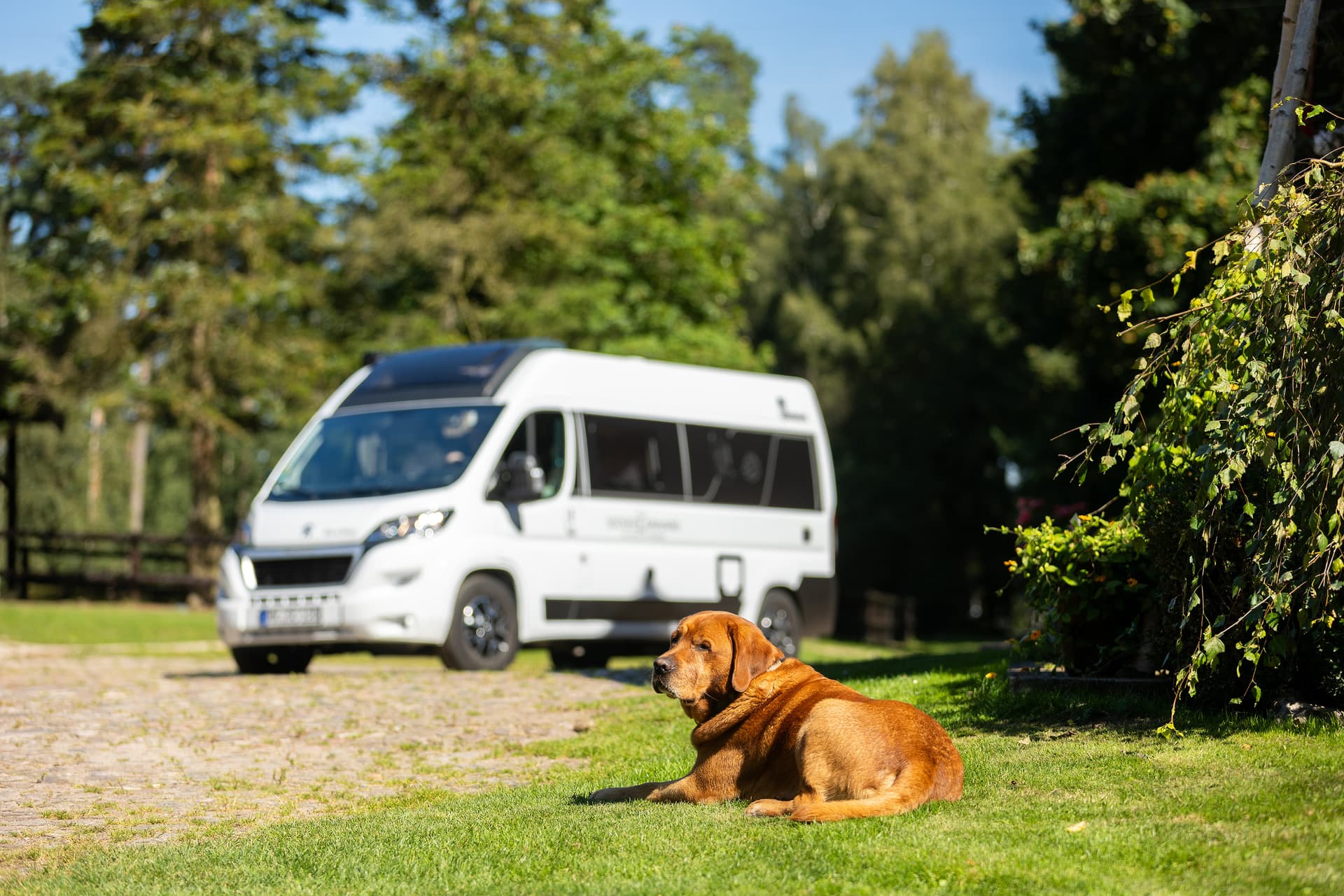 Kleine Campingplätze in der Natur | Lüneburger Heide