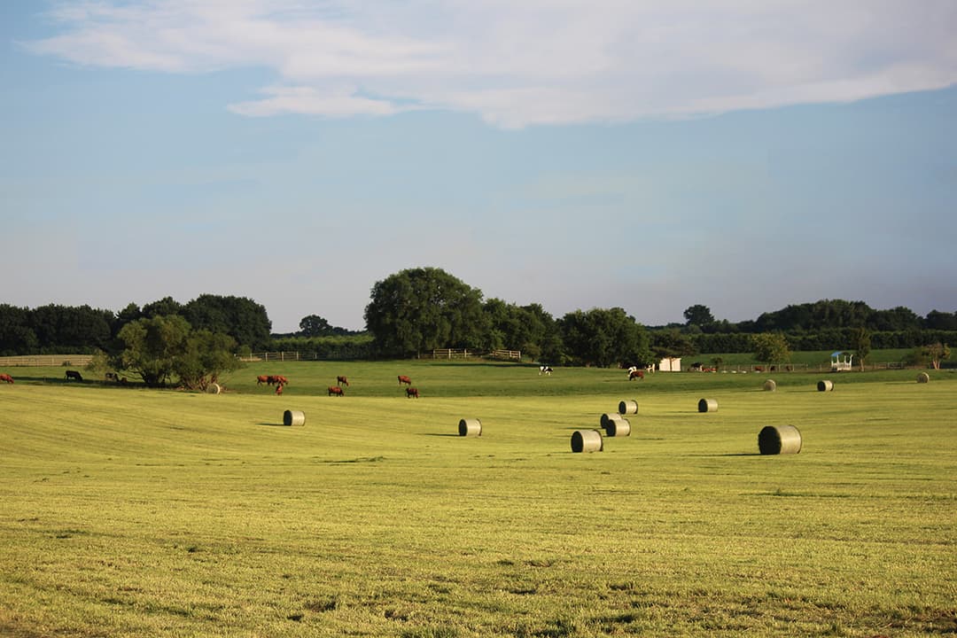 Neu Wulmstorf: Der Zum Dorfkrug Landhof | Lüneburger Heide